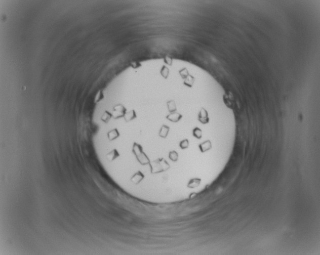 X0000062800038200601192000