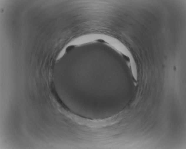 X0000062800039200601192000