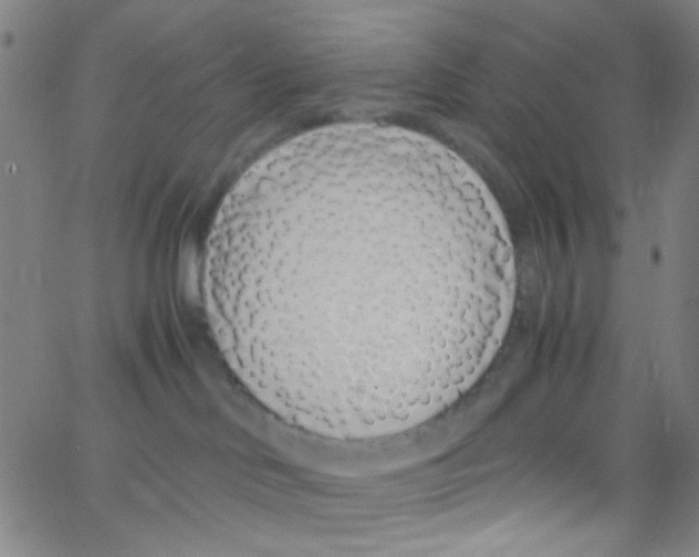 X0000062800046200601192000