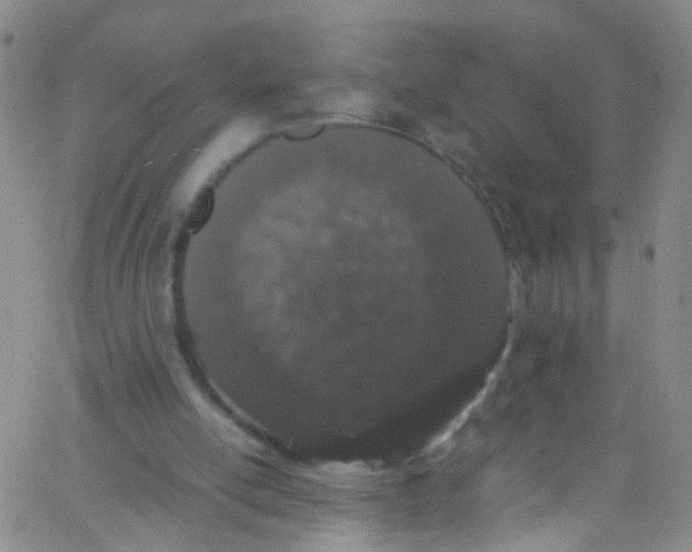 X0000062800054200601191959