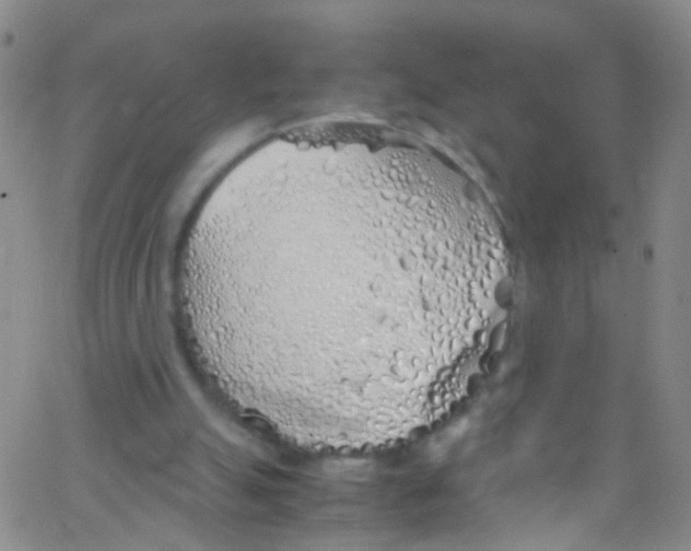 X0000062800055200601191959