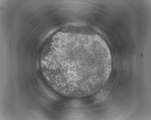 X0000062800062200601191959