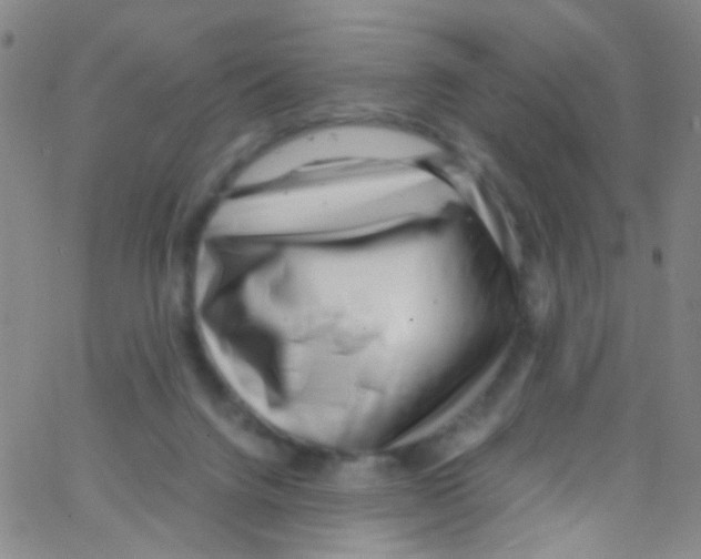 X0000062800072200601192000