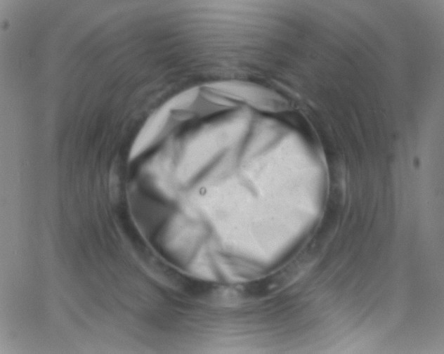 X0000062800080200601192000