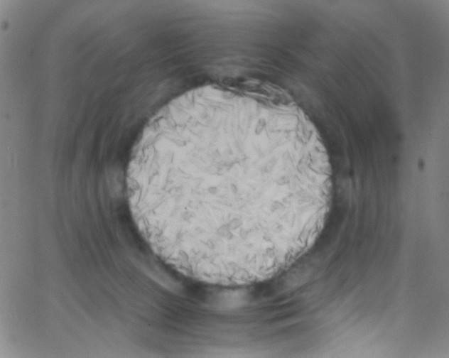 X0000062800081200601192000