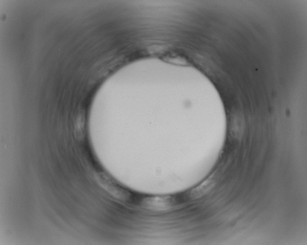 X0000062800082200601192000