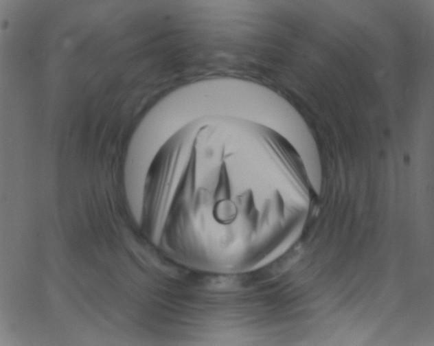 X0000062800088200601192000