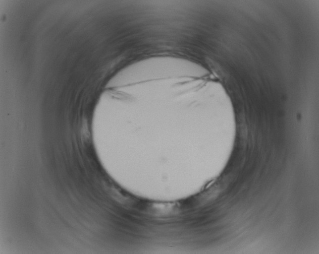 X0000062800089200601192000