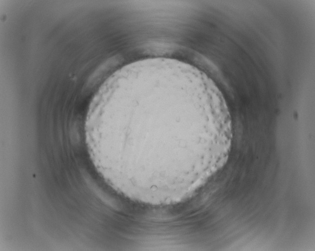 X0000062800114200601191959