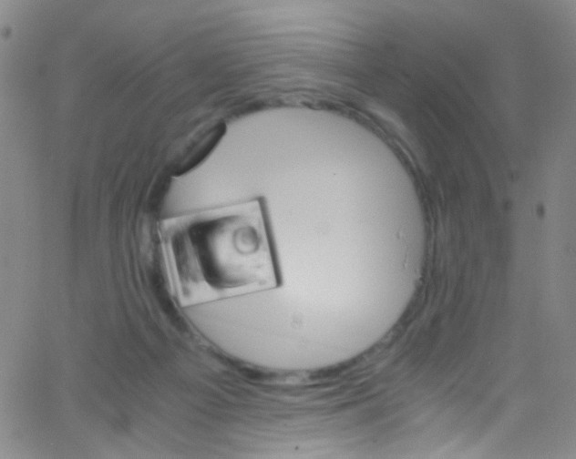 X0000062800121200601191959
