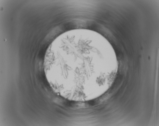 X0000062800123200601191959