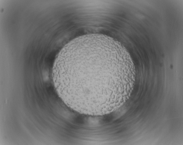 X0000062800134200601191959