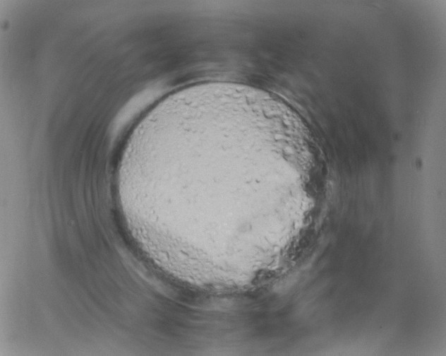 X0000062800149200601191958
