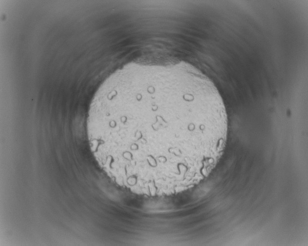 X0000062800177200601191958