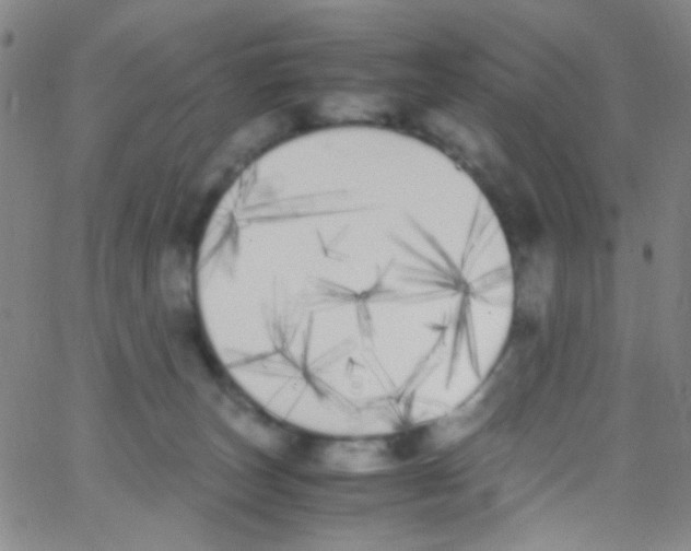 X0000062800179200601191958