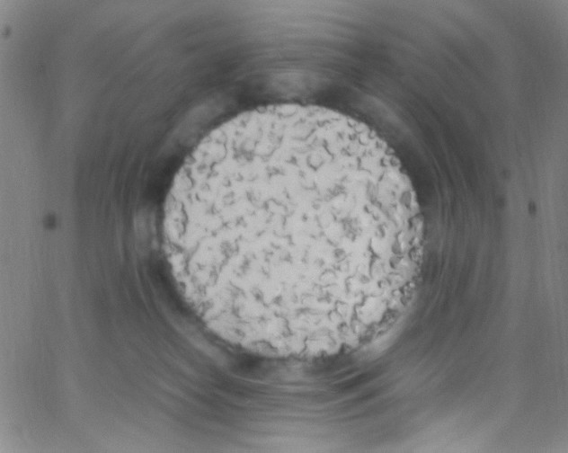 X0000062800182200601191958