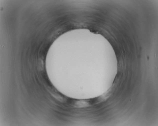 X0000062800183200601191958