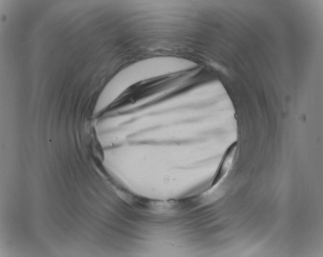 X0000062800192200601191958