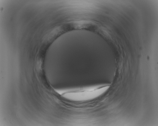 X0000062800219200601191957