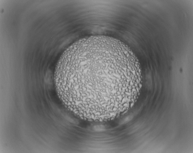 X0000062800228200601191957