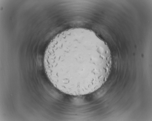 X0000062800232200601191957