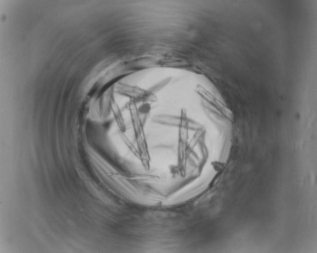 X0000062800242200601191956