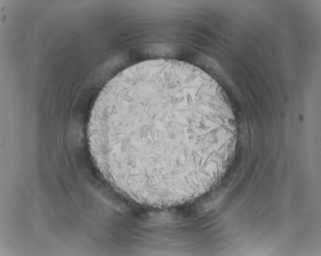 X0000062800259200601191956