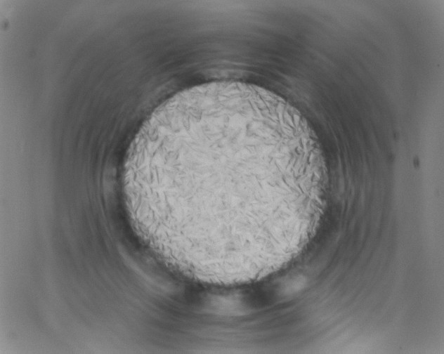X0000062800263200601191956