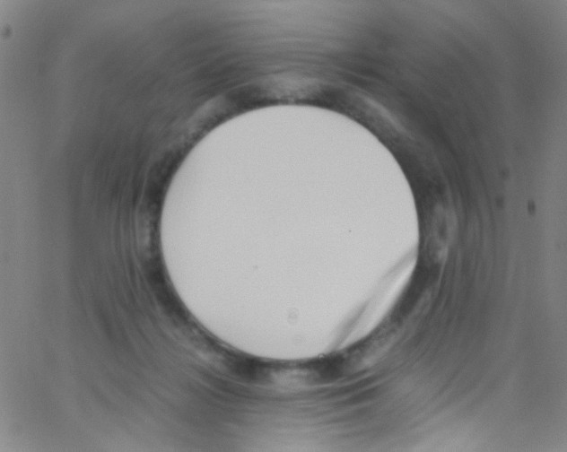 X0000062800268200601191956