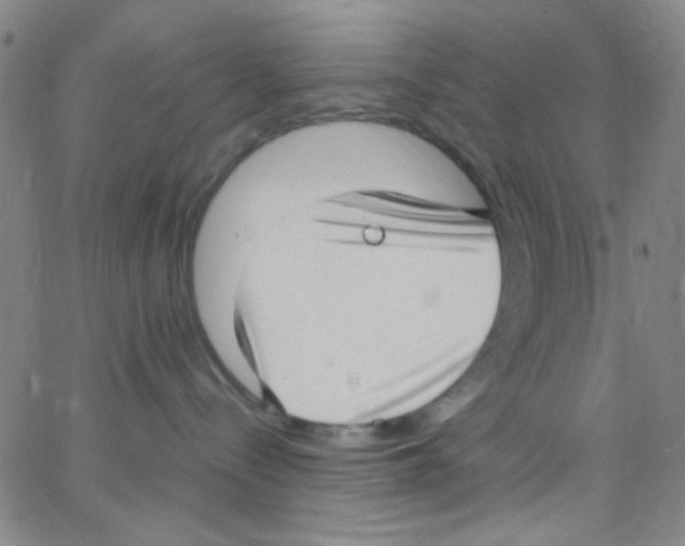 X0000062800288200601191957