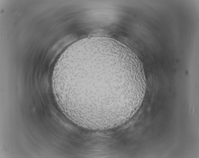 X0000062800290200601191956
