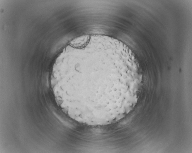 X0000062800302200601191956