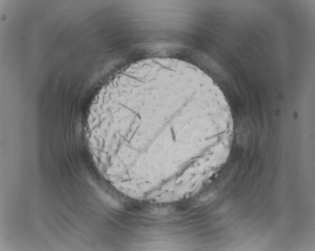 X0000062800314200601191956