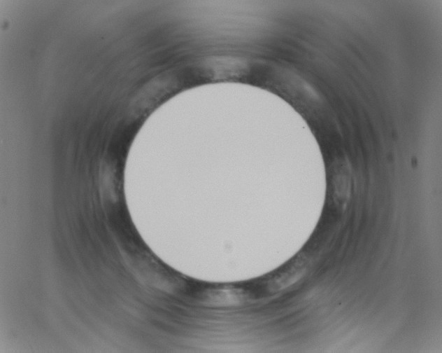 X0000062800316200601191956