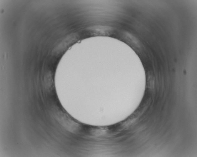 X0000062800318200601191956