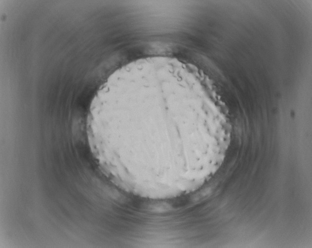 X0000062800322200601191955