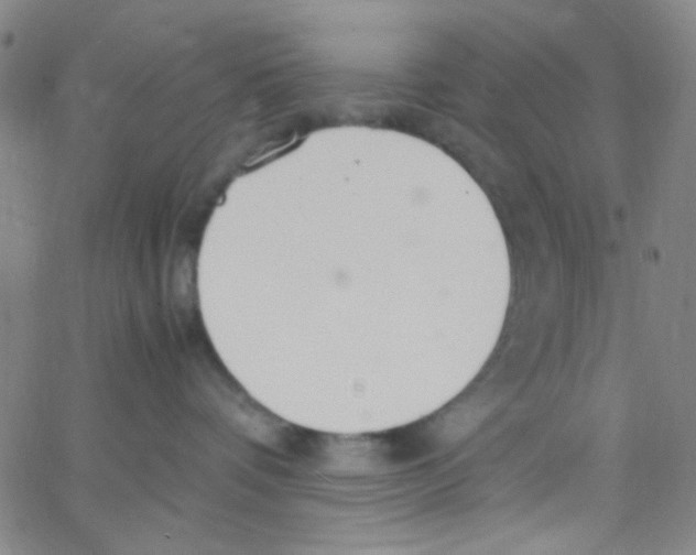 X0000062800336200601191955