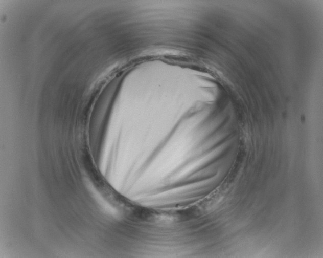 X0000062800352200601191955