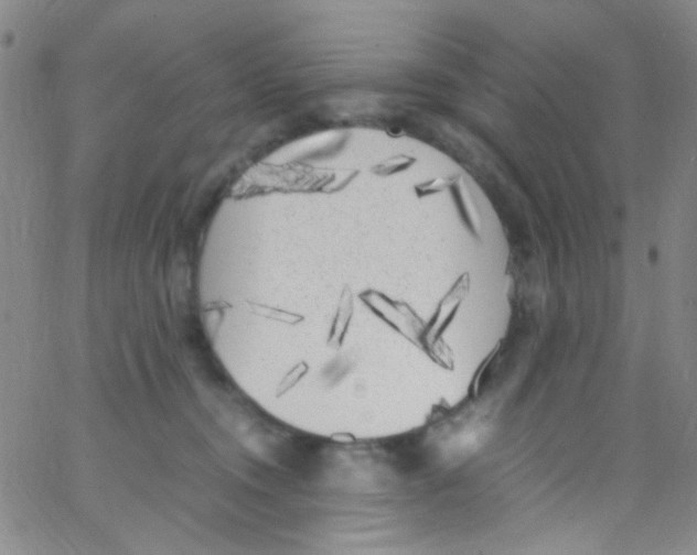 X0000062800372200601191955