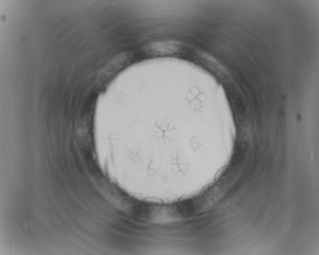 X0000062800373200601191955