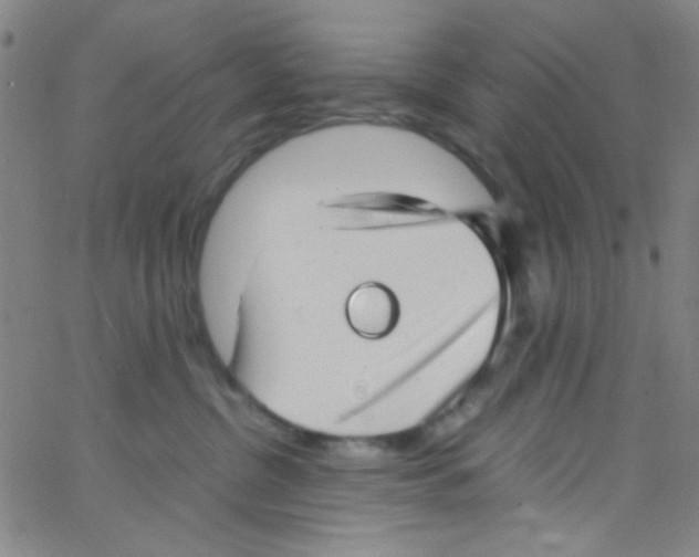 X0000062800380200601191955