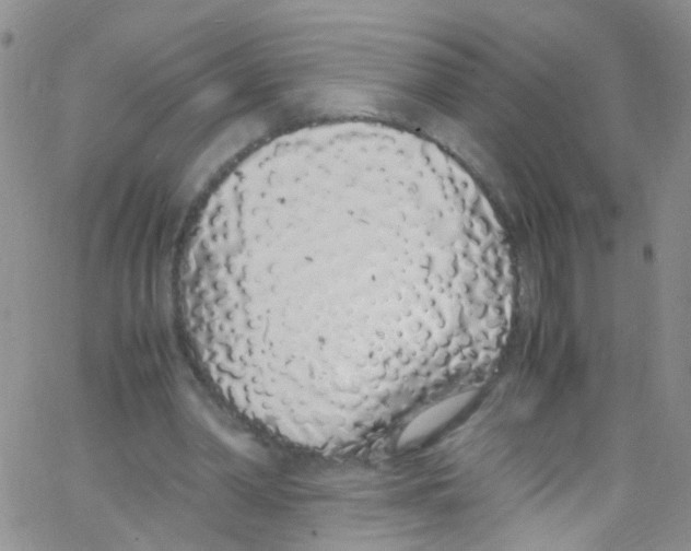 X0000062800390200601191954