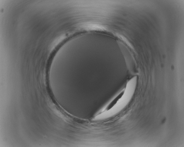 X0000062800391200601191954
