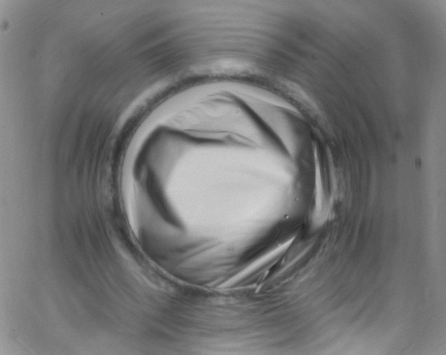 X0000062800392200601191954