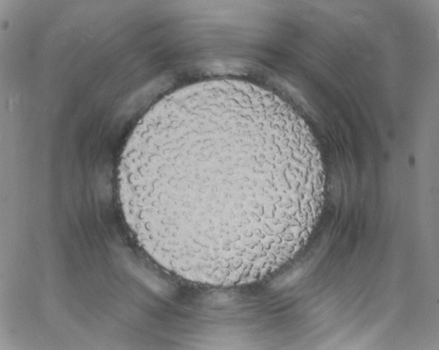 X0000062800402200601191954