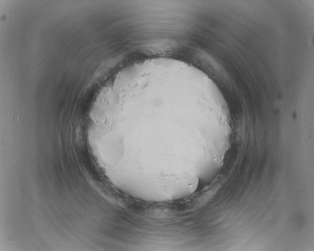 X0000062800408200601191954