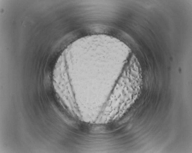 X0000062800410200601191954