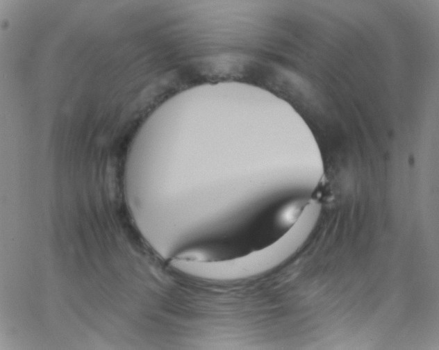X0000062800416200601191954