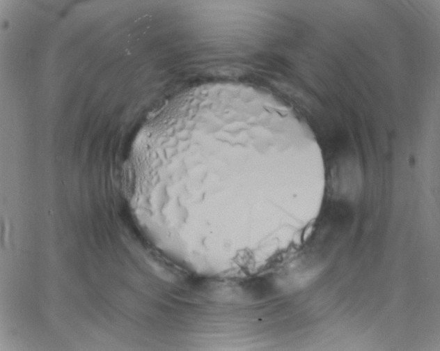 X0000062800424200601191954