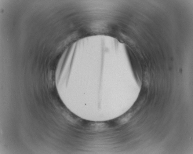 X0000062800428200601191954